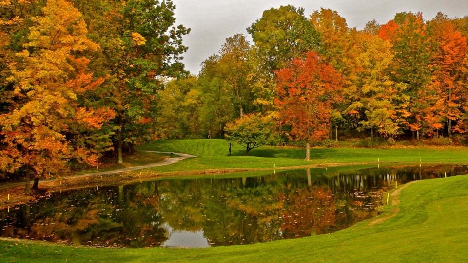 Season cart pass