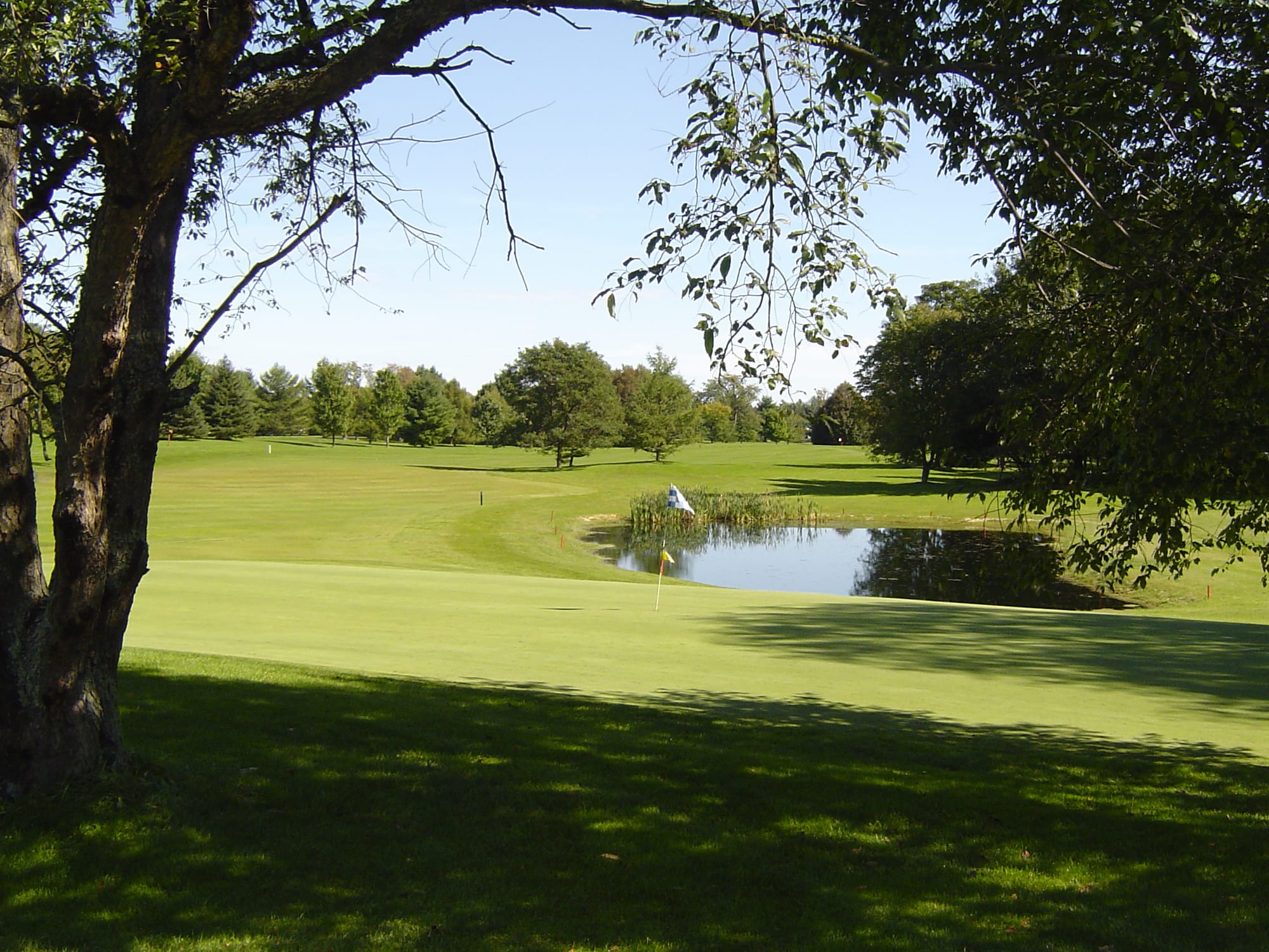Single senior membership